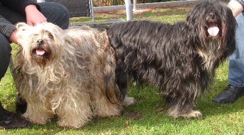 Tinka und Jeff2