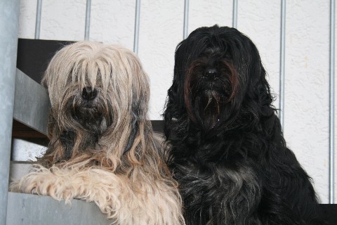 Tinka und Dekyi