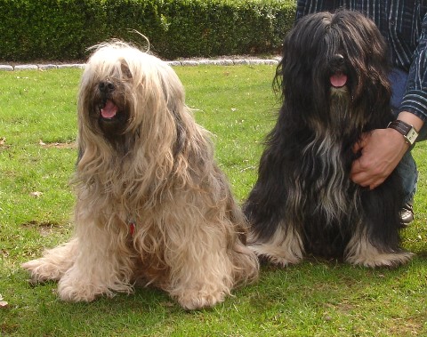 Tinka und Jeff