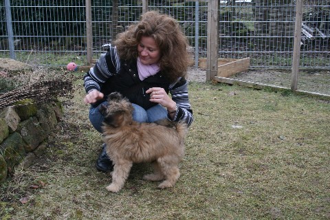 Welpen I-Wurf besuch Dayan Welpen I-Wurf besuch Dayan