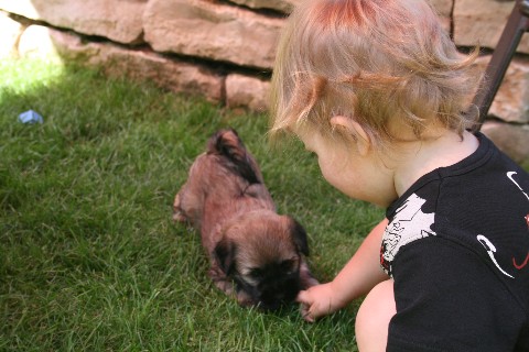 Welpen J-Wurf 5 Wochen Ji-ga Amy