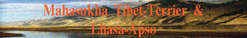 a_tibet
